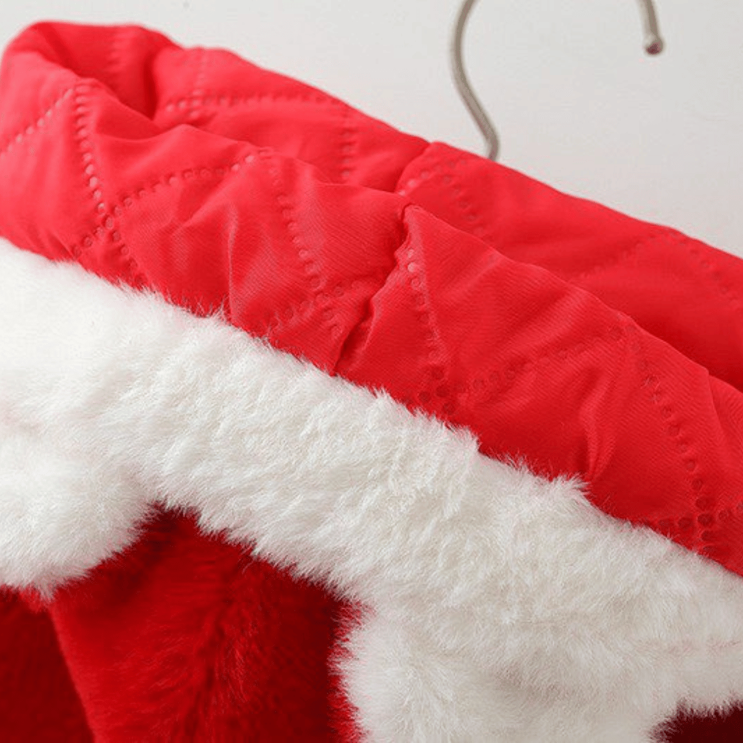 Princess Rabbit Ear Hooded Fur Coat