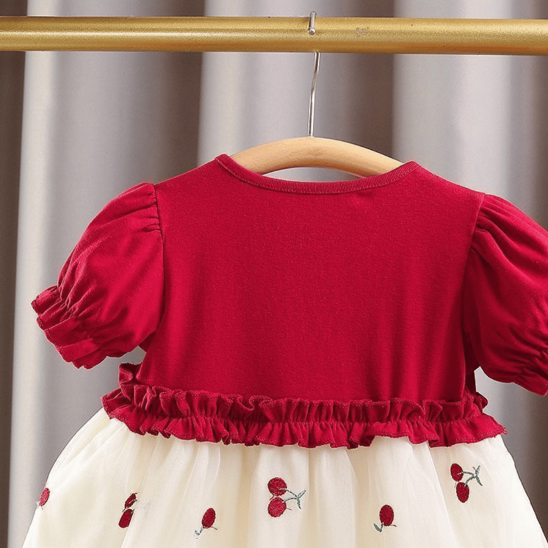 Cherry Embroidered Tulle Party Dress