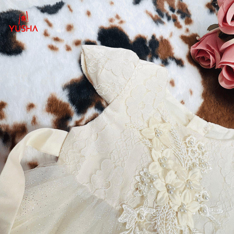 Royal Lace Princess Dress