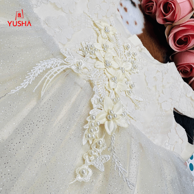 Royal Lace Princess Dress