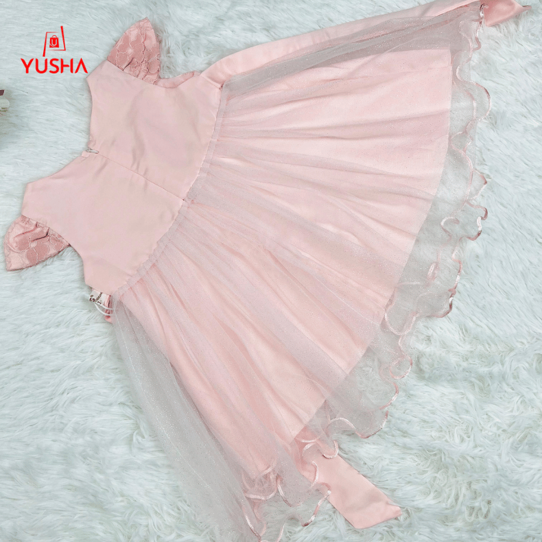 Royal Lace Princess Dress