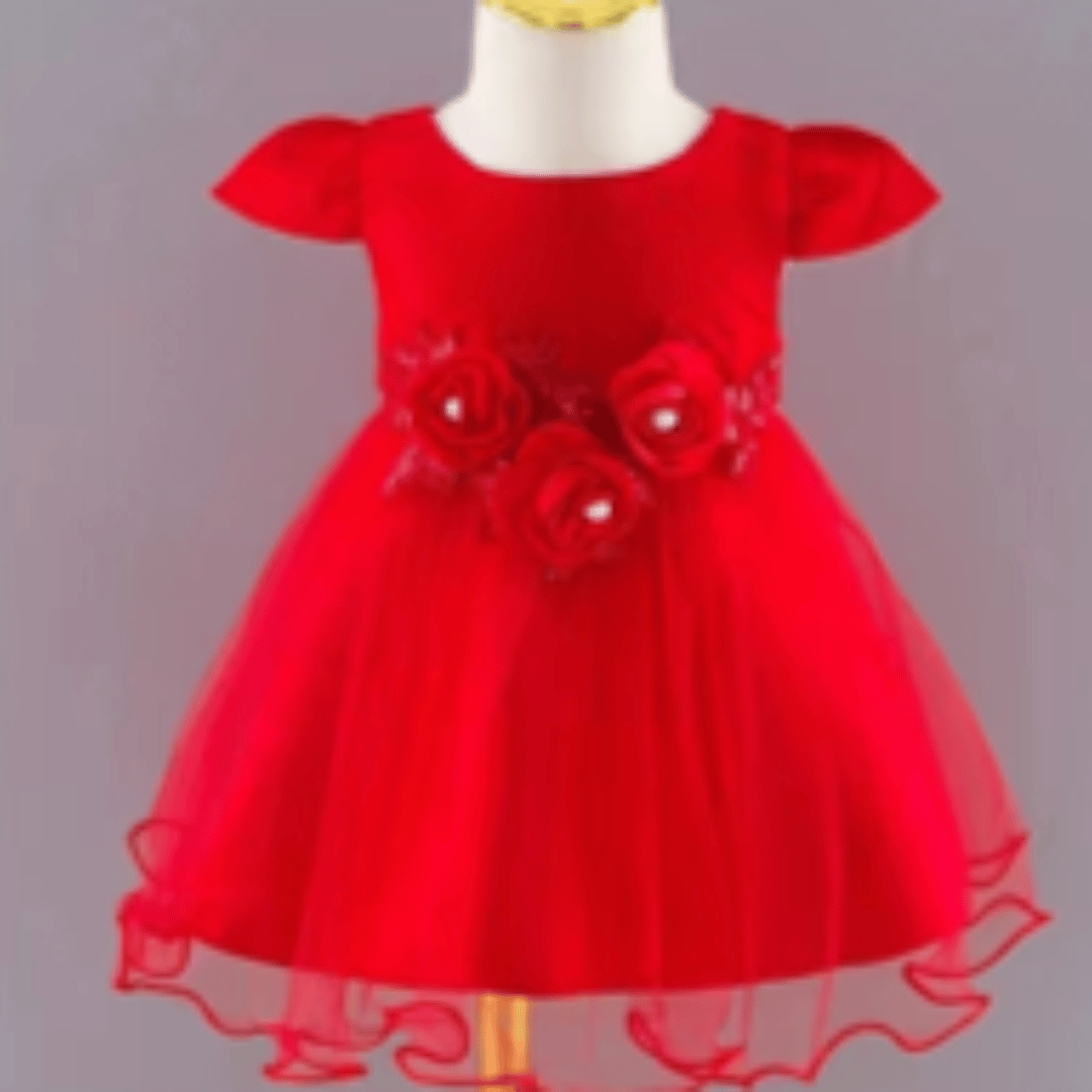 Rose Floral Lace Princess Party Dress