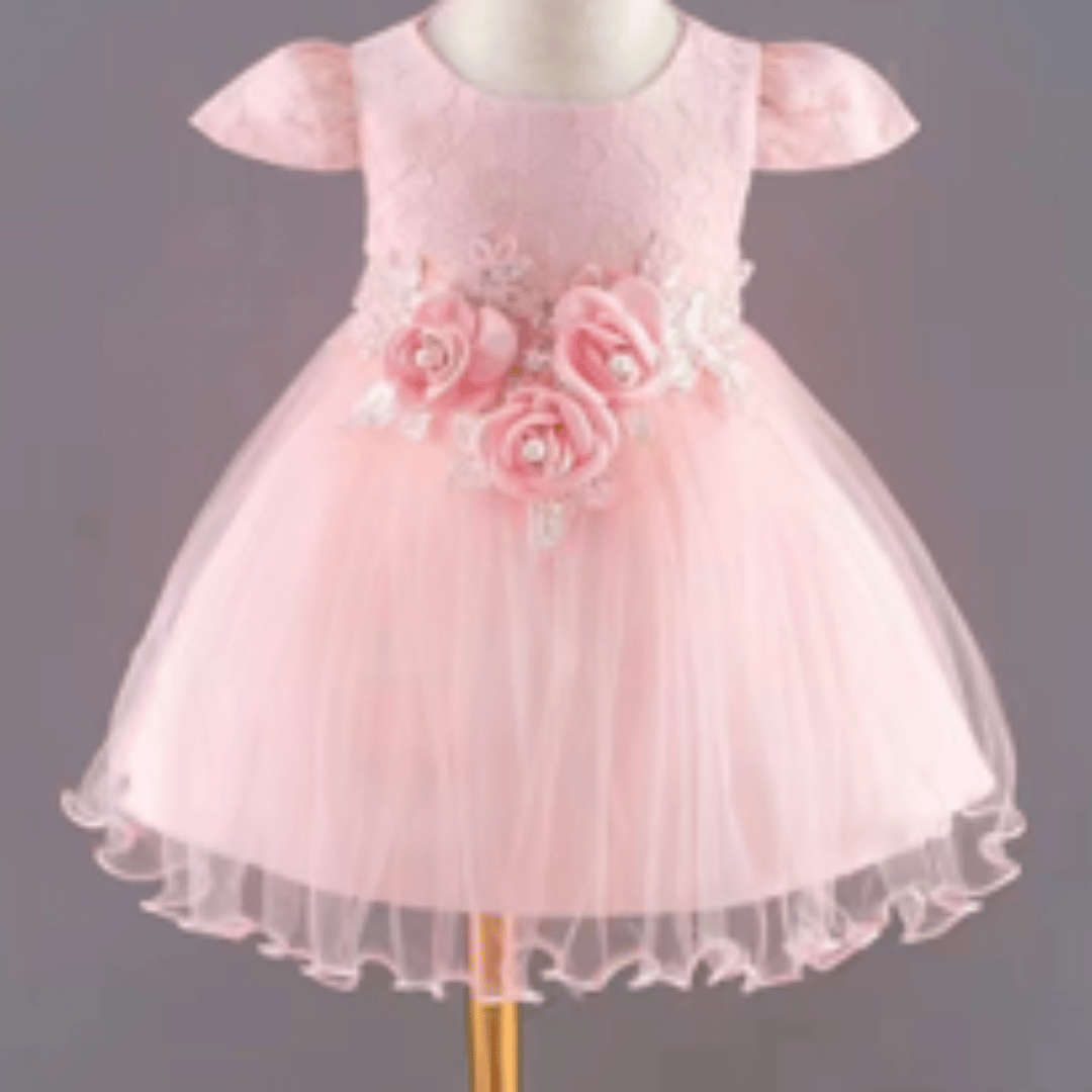 Rose Floral Lace Princess Party Dress
