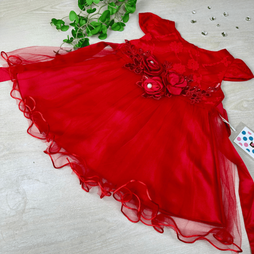 Rose Floral Lace Princess Party Dress