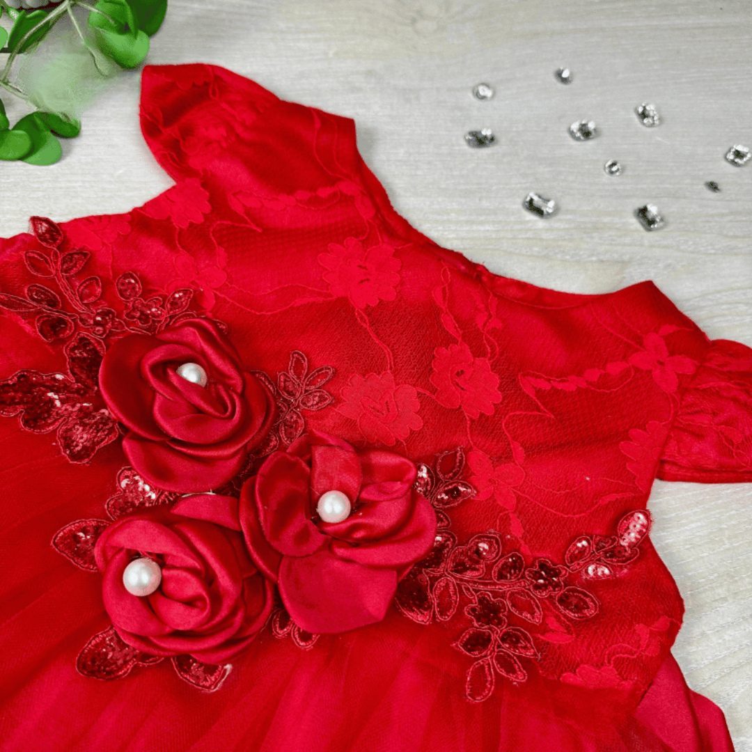Rose Floral Lace Princess Party Dress
