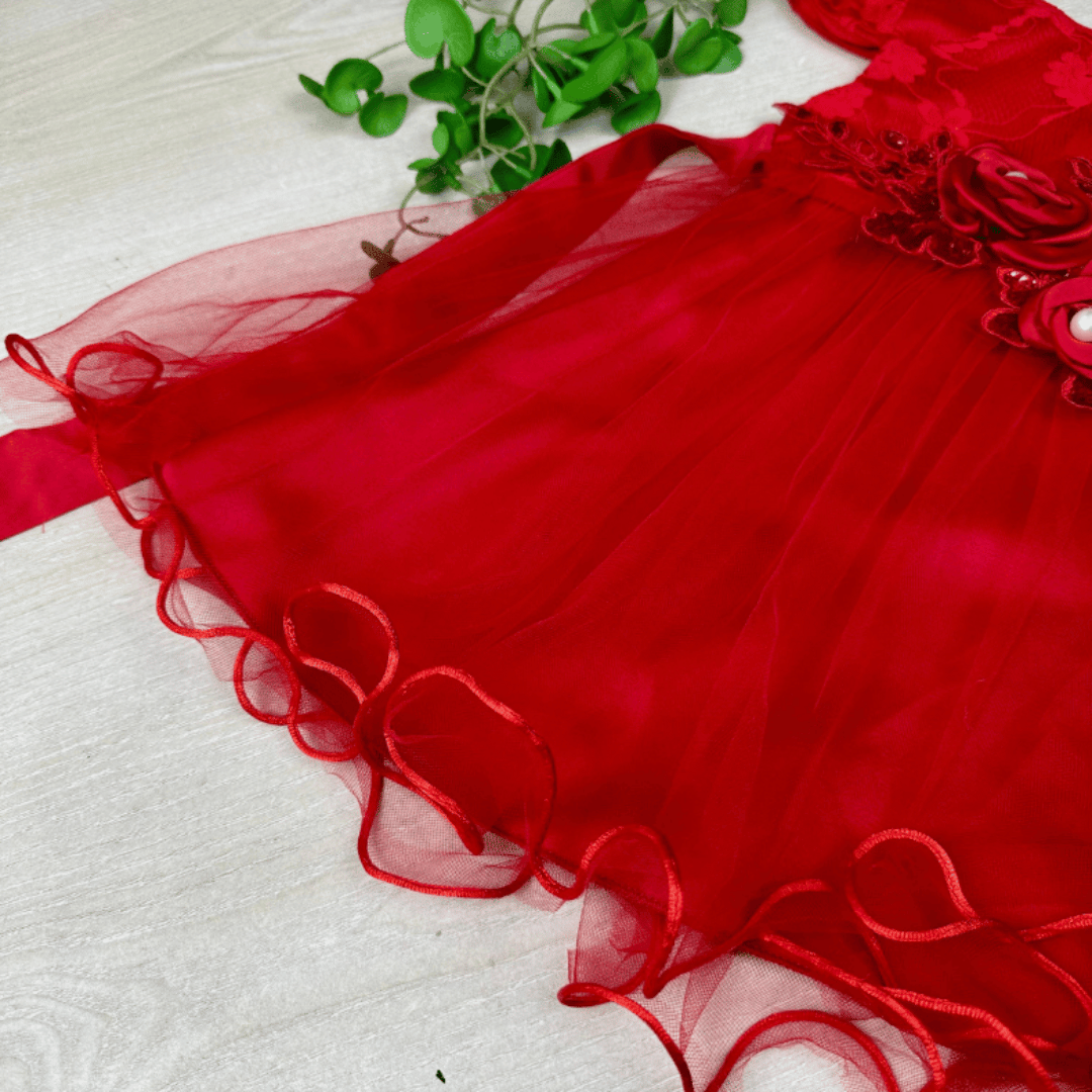 Rose Floral Lace Princess Party Dress