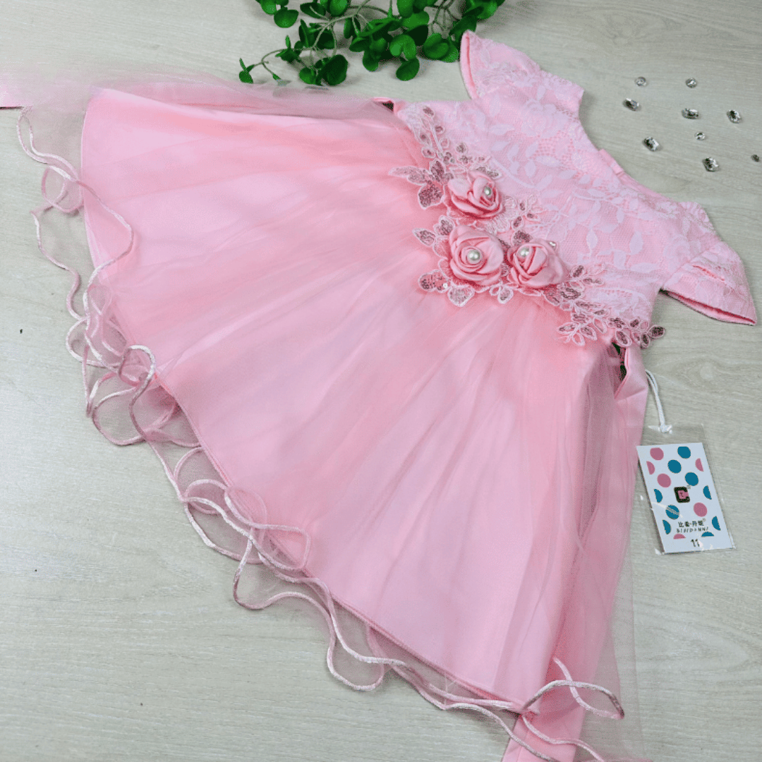 Rose Floral Lace Princess Party Dress