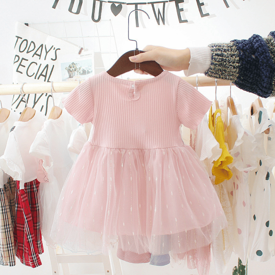 Rose Flower Mesh Dress