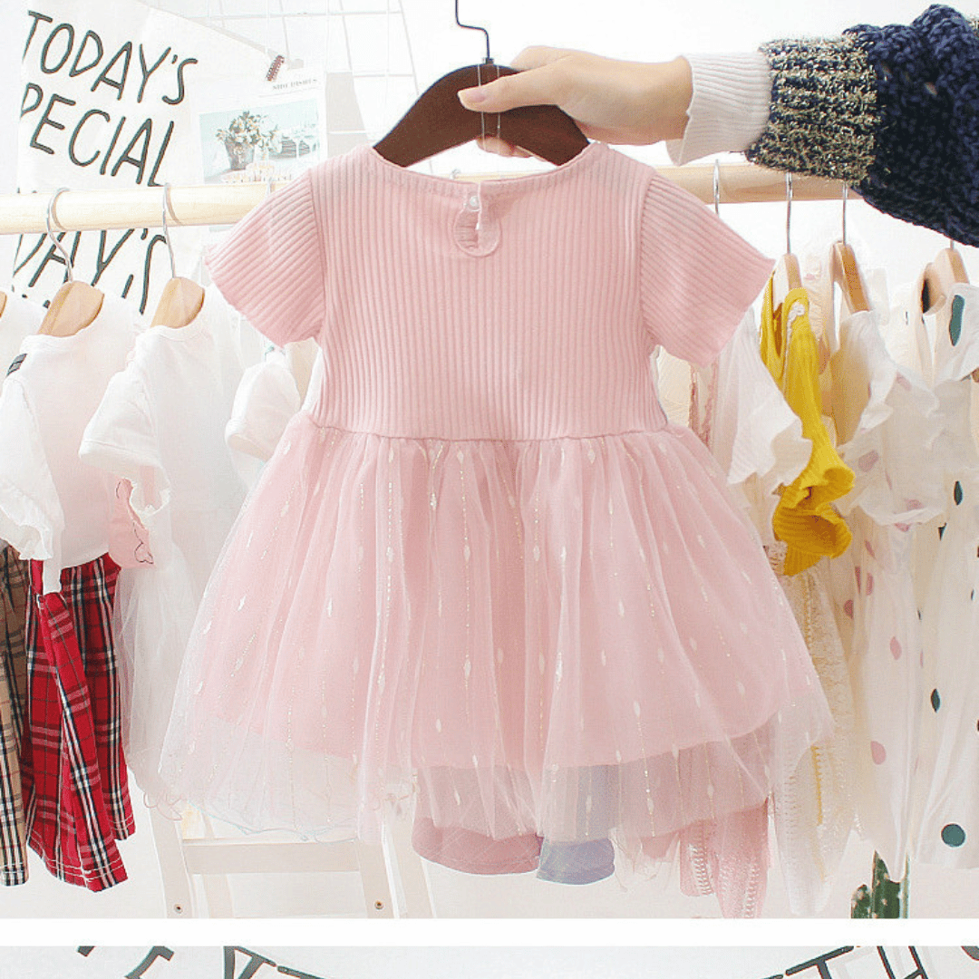 Rose Flower Mesh Dress