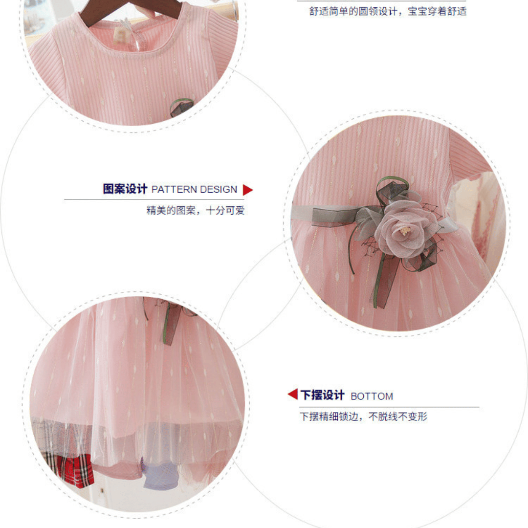 Rose Flower Mesh Dress