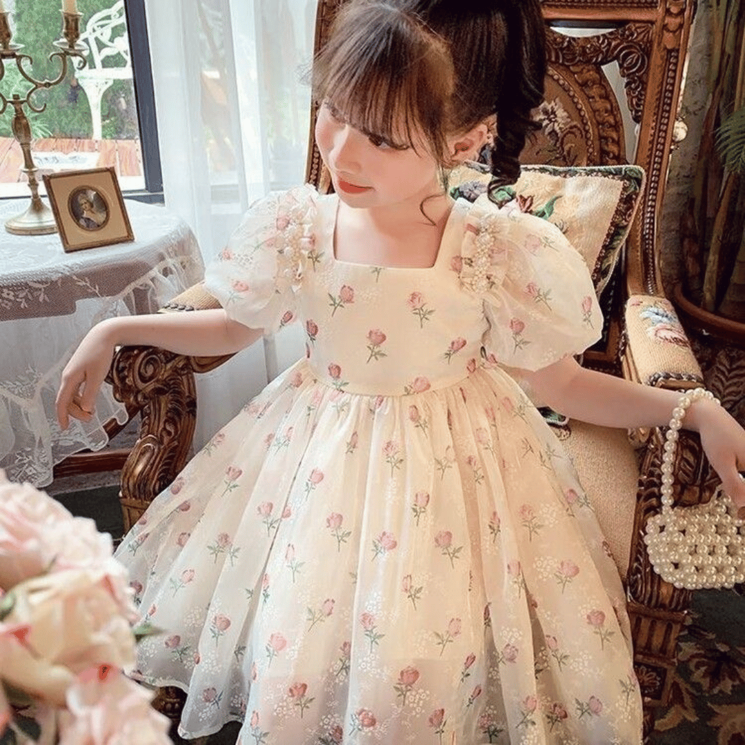Vintage Rose Princess Dress