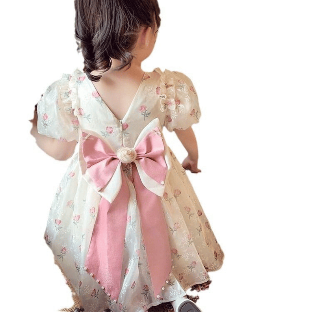 Vintage Rose Princess Dress