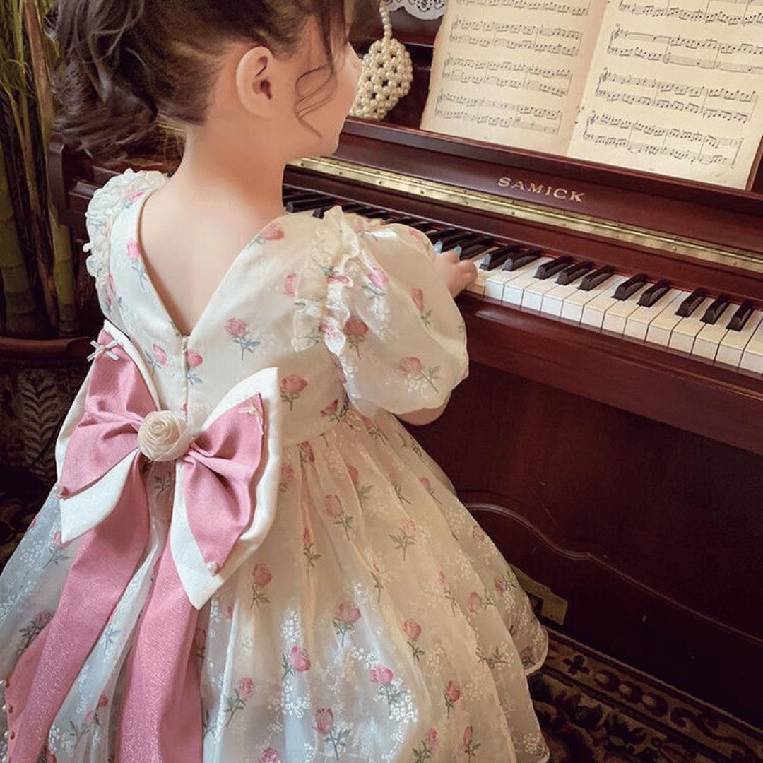 Vintage Rose Princess Dress