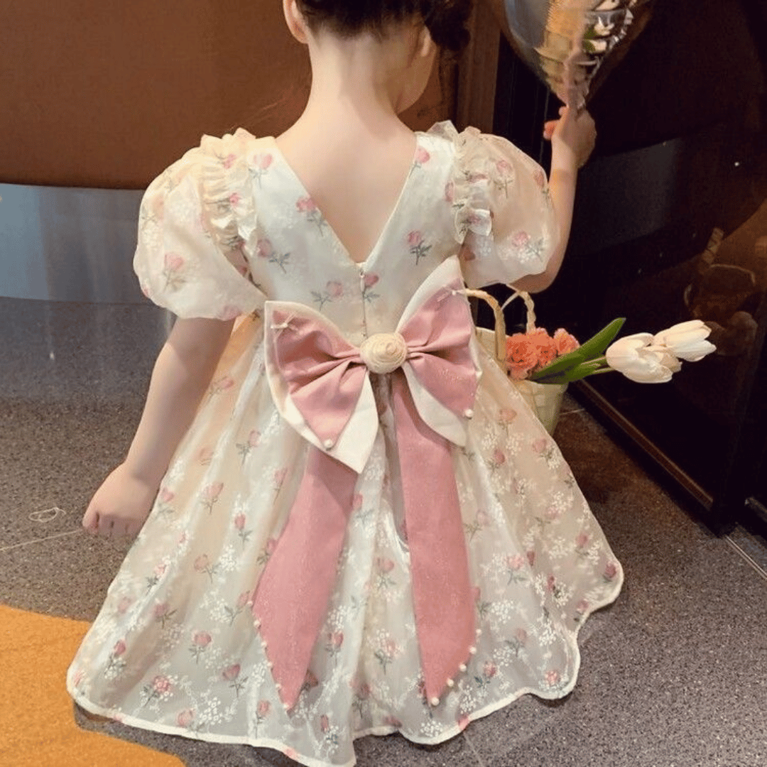 Vintage Rose Princess Dress