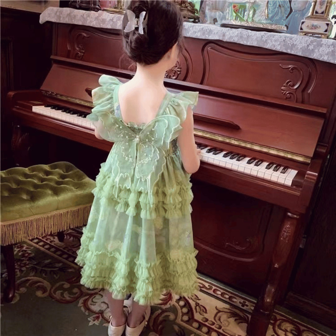 Butterfly Fairy Princess Party Dress