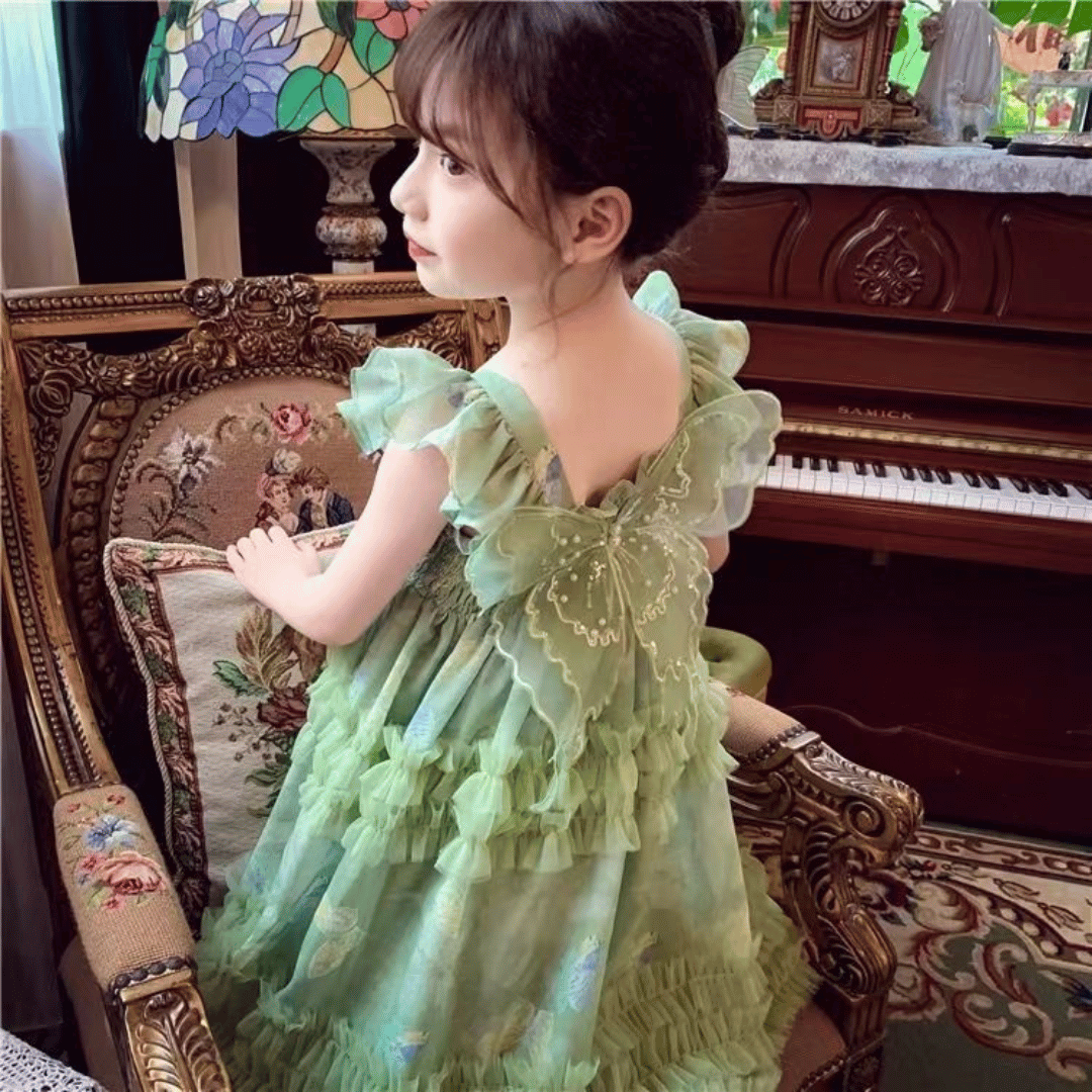 Butterfly Fairy Princess Party Dress