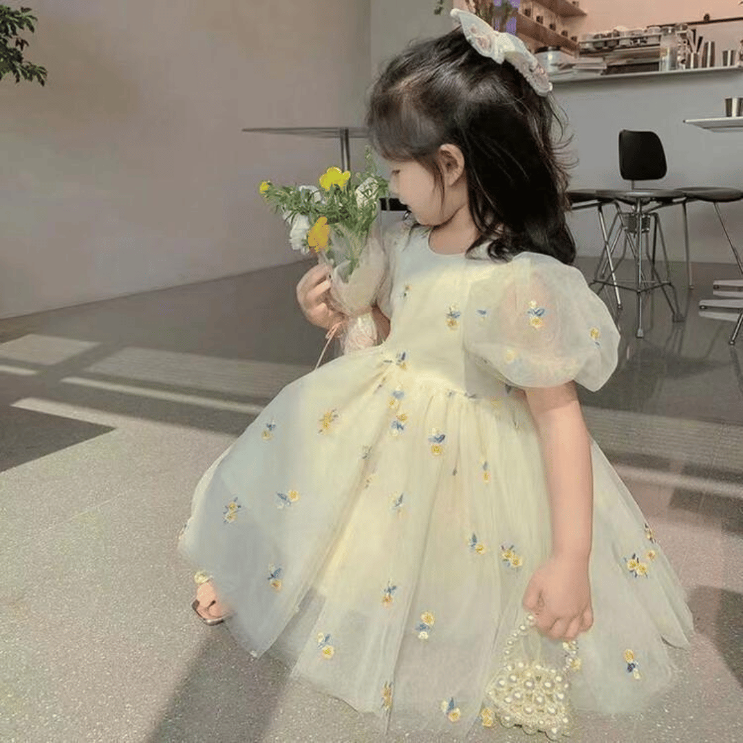 Daisy Embroidered Tulle Baby Princess Dress