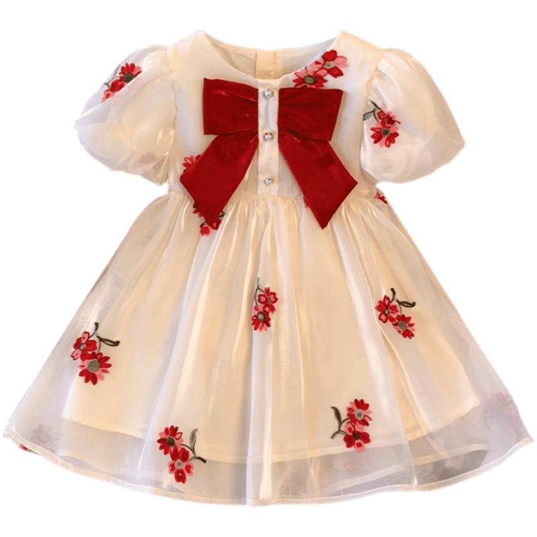 Luxury Floral Embroidered Princess Dress