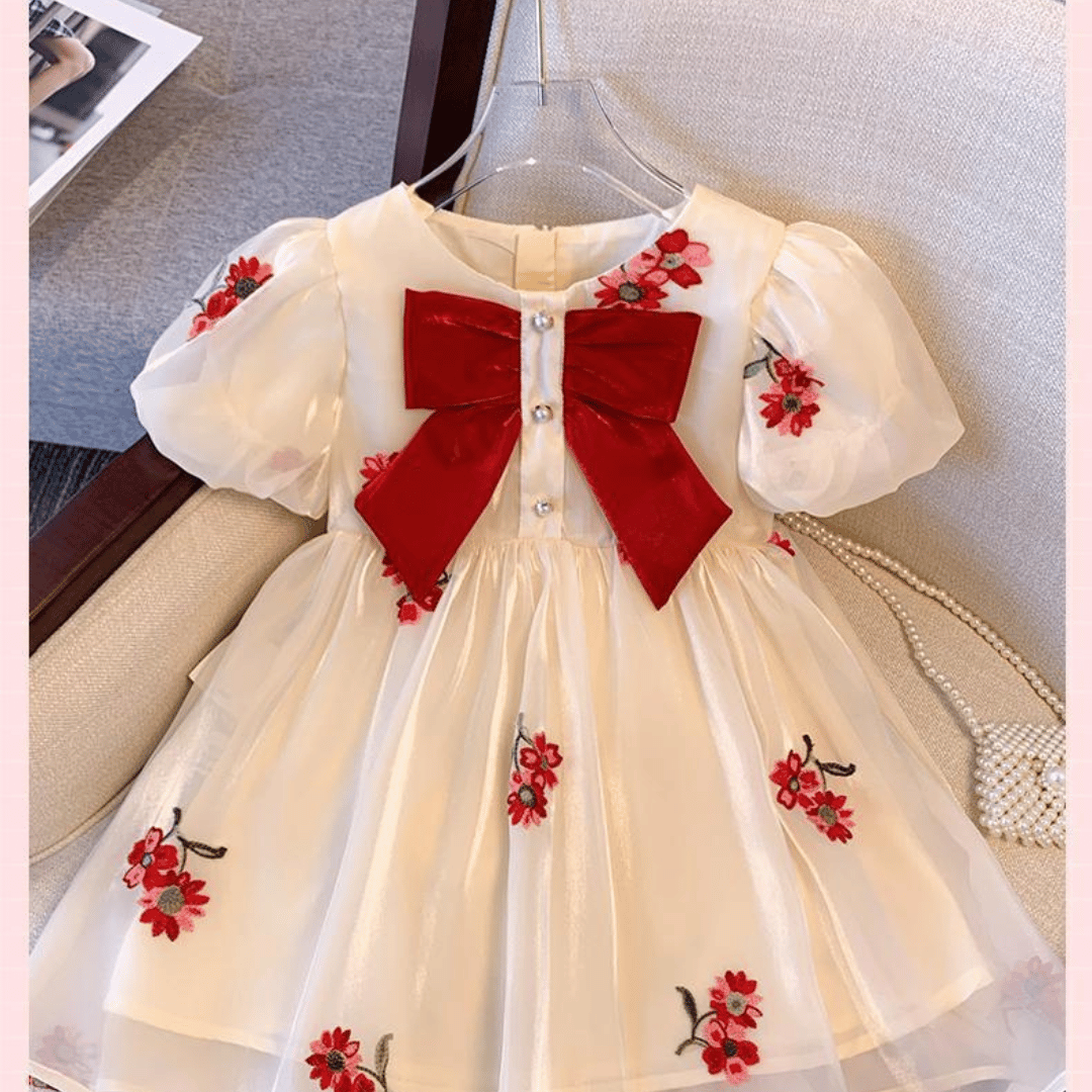 Luxury Floral Embroidered Princess Dress