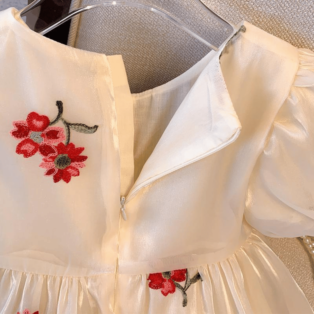 Luxury Floral Embroidered Princess Dress