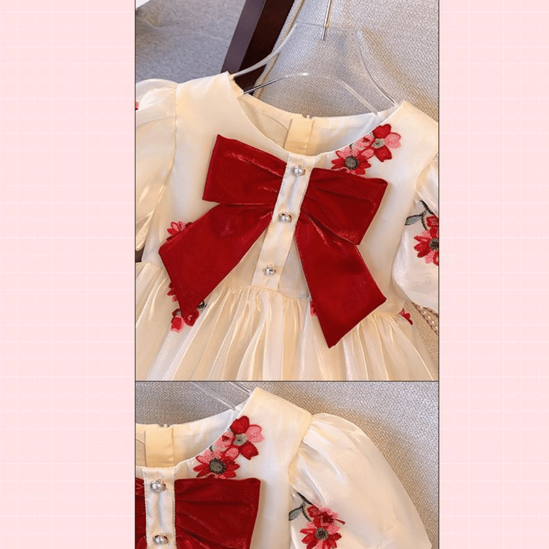 Luxury Floral Embroidered Princess Dress