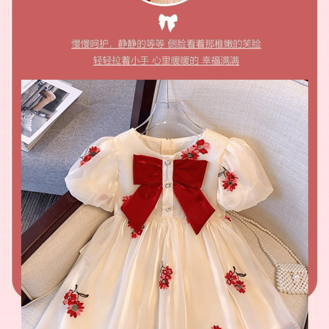 Luxury Floral Embroidered Princess Dress