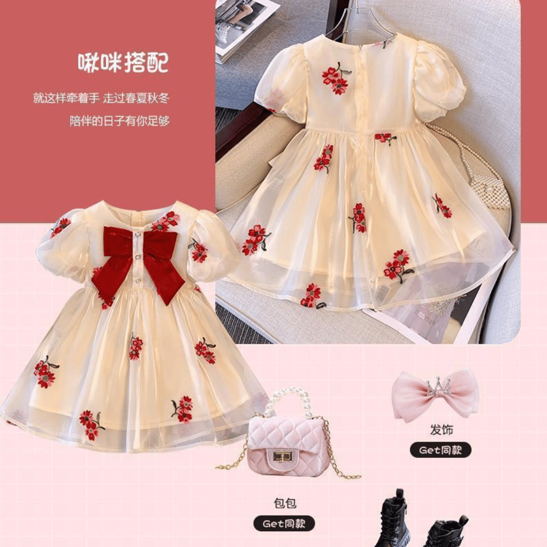 Luxury Floral Embroidered Princess Dress