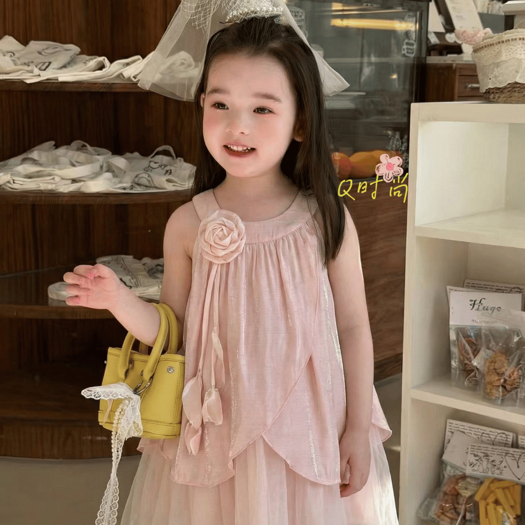 Blush Blossom Rose Princess Baby Dress