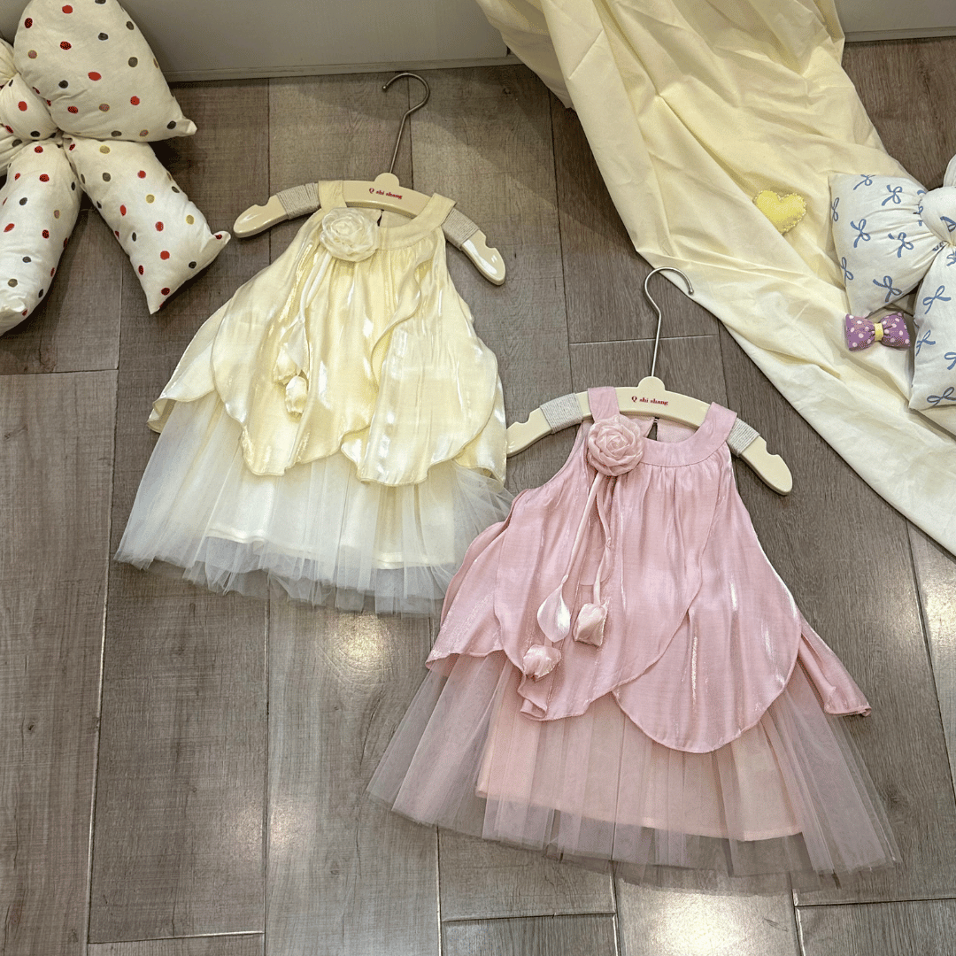 Blush Blossom Rose Princess Baby Dress