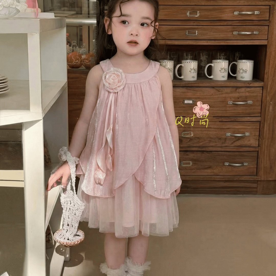 Blush Blossom Rose Princess Baby Dress