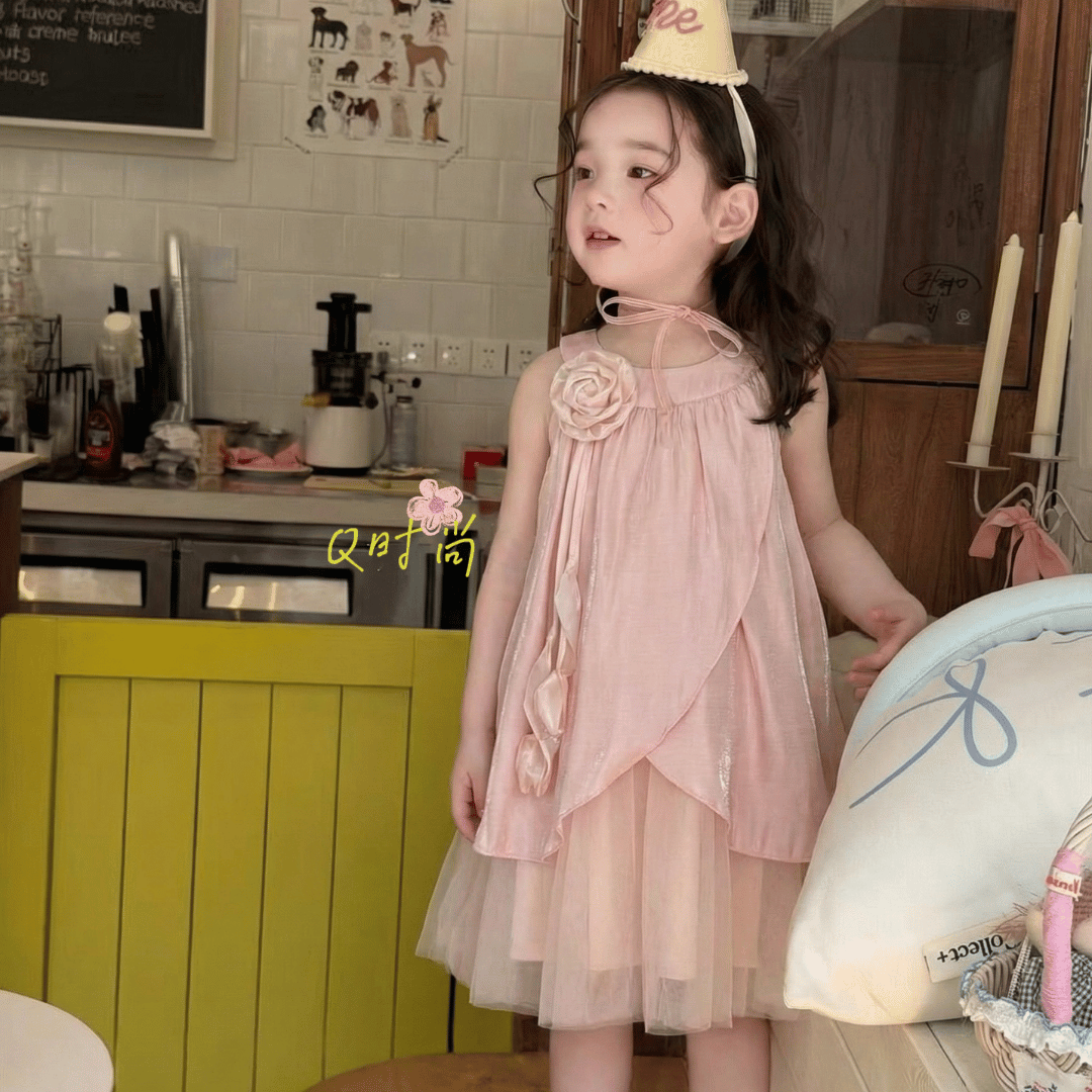 Blush Blossom Rose Princess Baby Dress