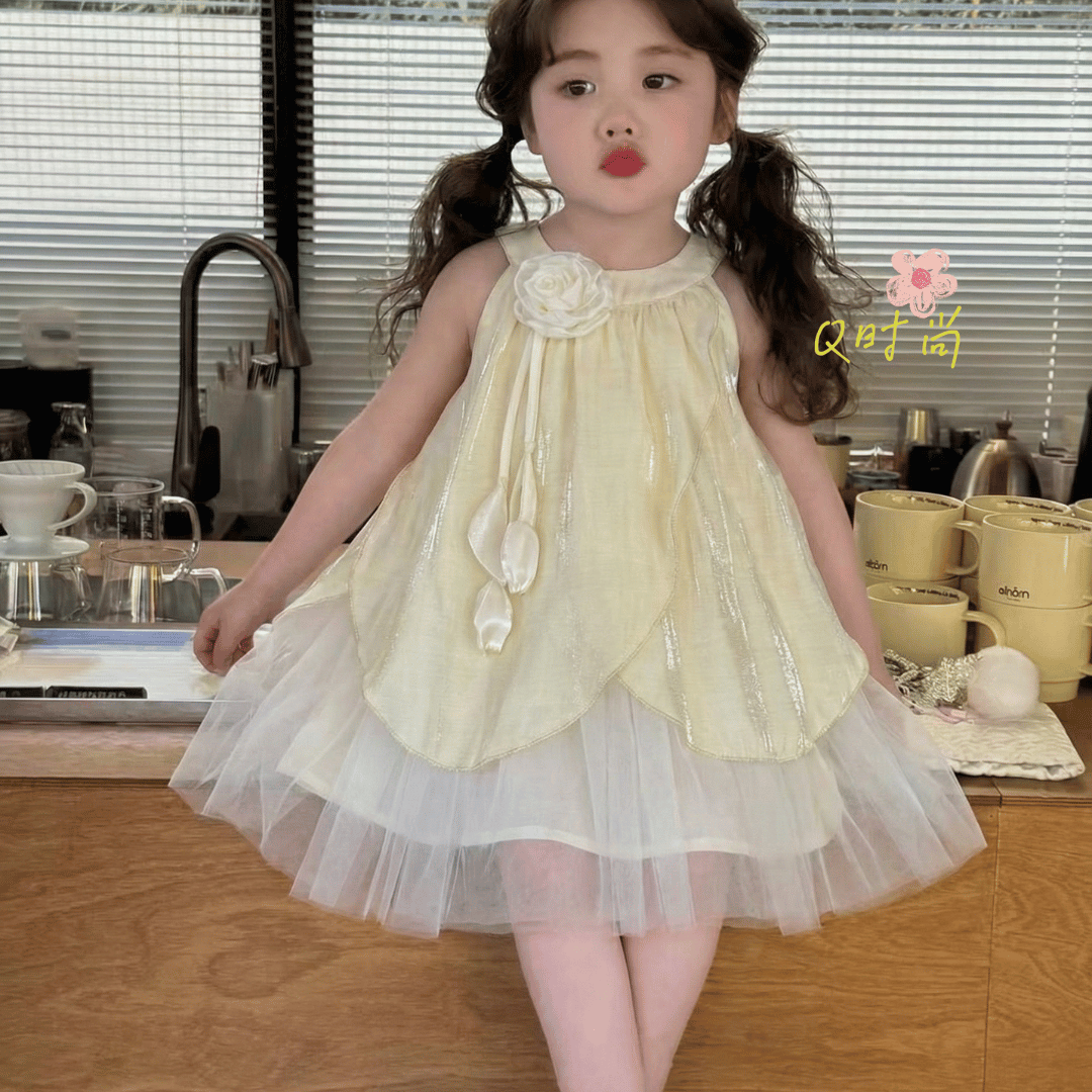 Blush Blossom Rose Princess Baby Dress