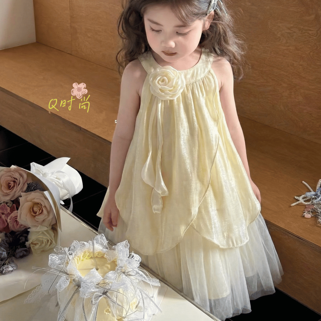 Blush Blossom Rose Princess Baby Dress