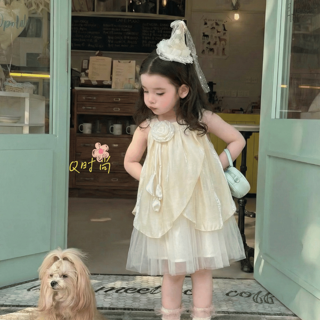 Blush Blossom Rose Princess Baby Dress