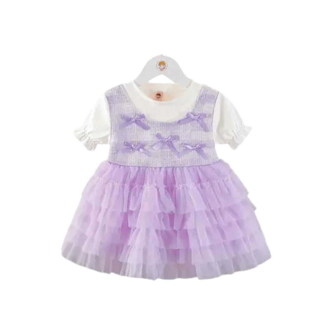 Baby Girl Layered Tulle Princess Dress