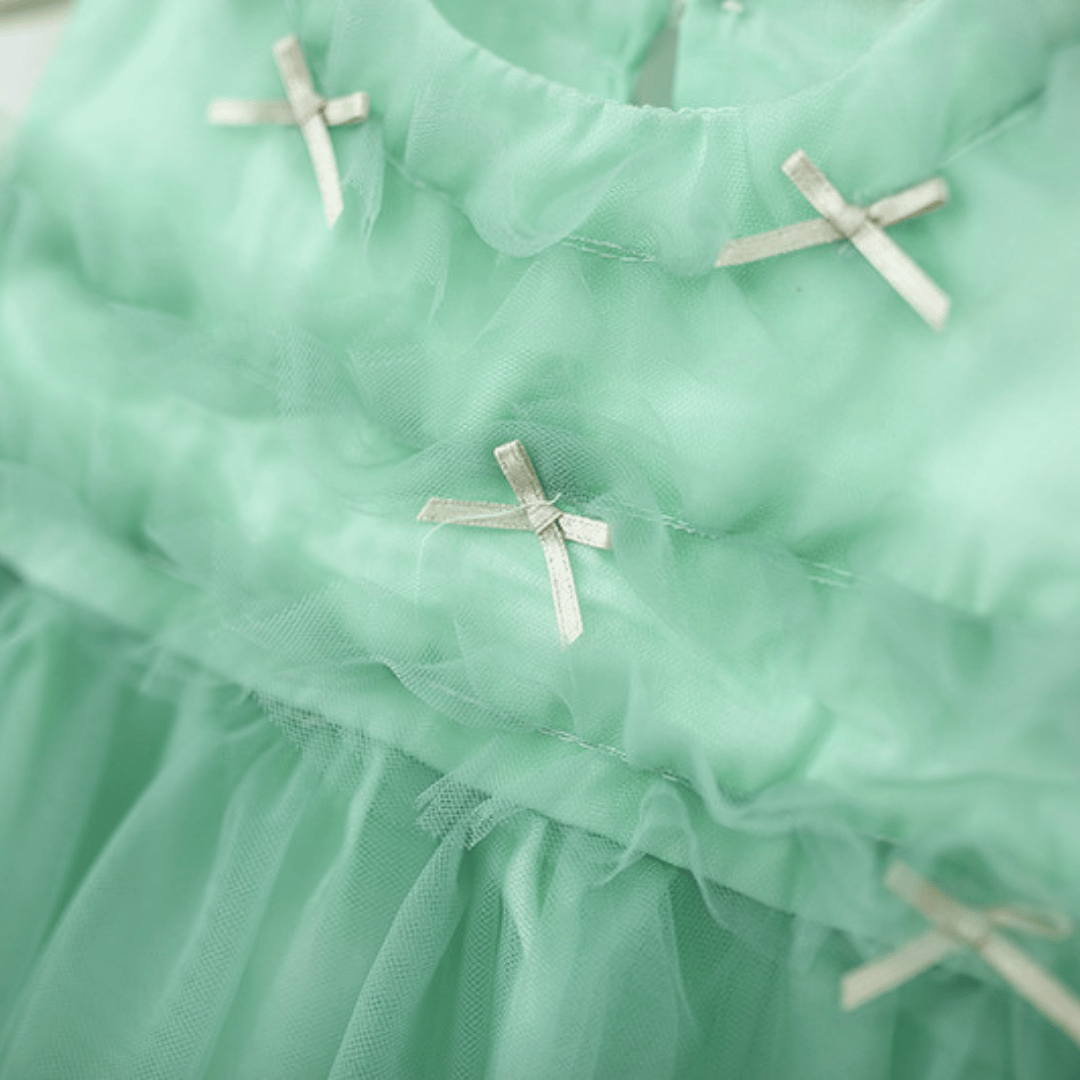 Ribbon Charm Mesh Party Dress