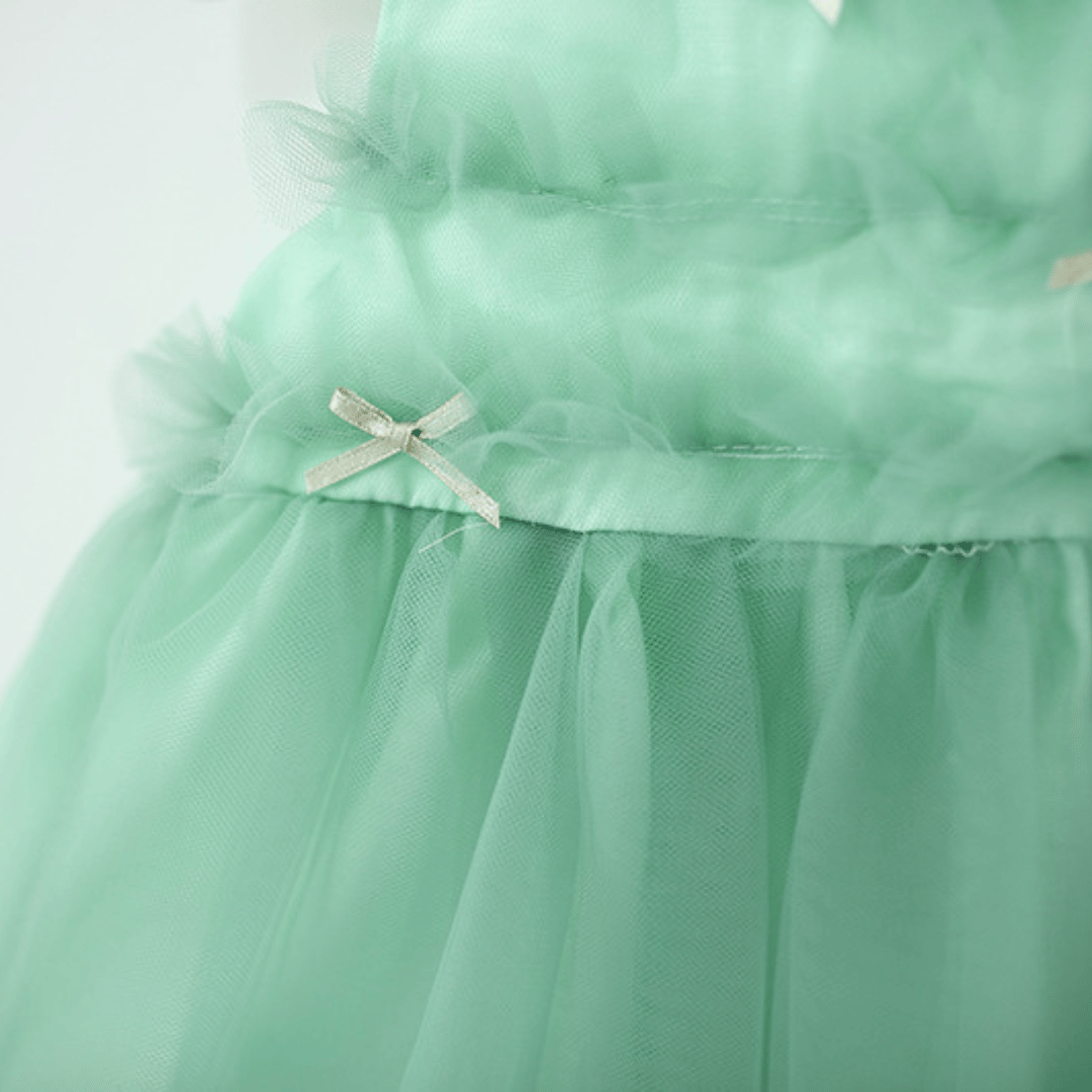Ribbon Charm Mesh Party Dress