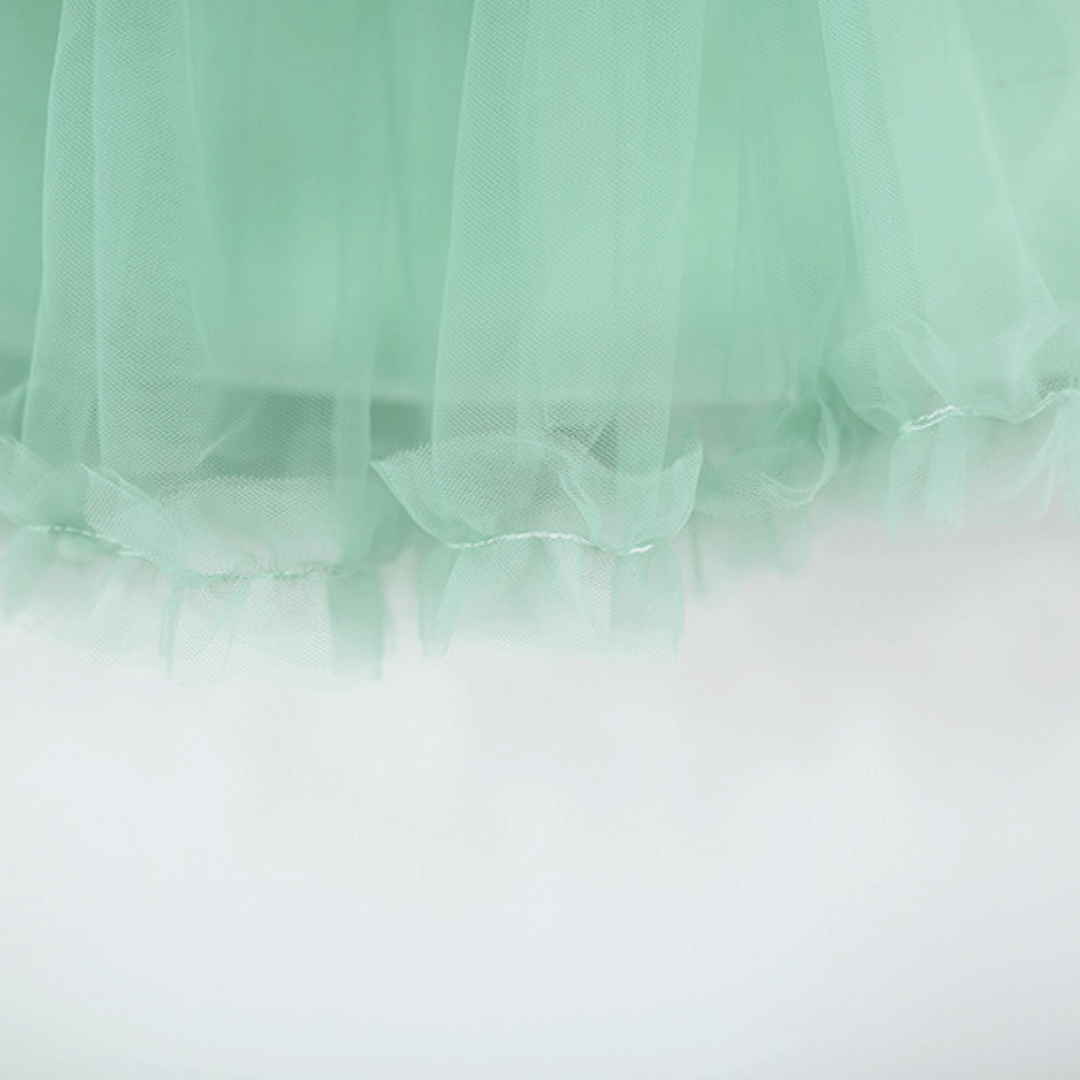 Ribbon Charm Mesh Party Dress