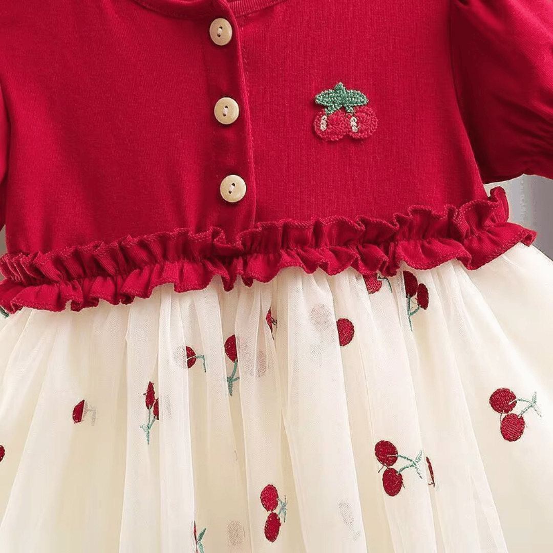 Cherry Embroidered Tulle Party Dress