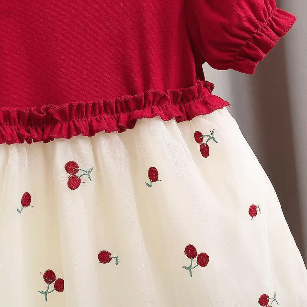 Cherry Embroidered Tulle Party Dress