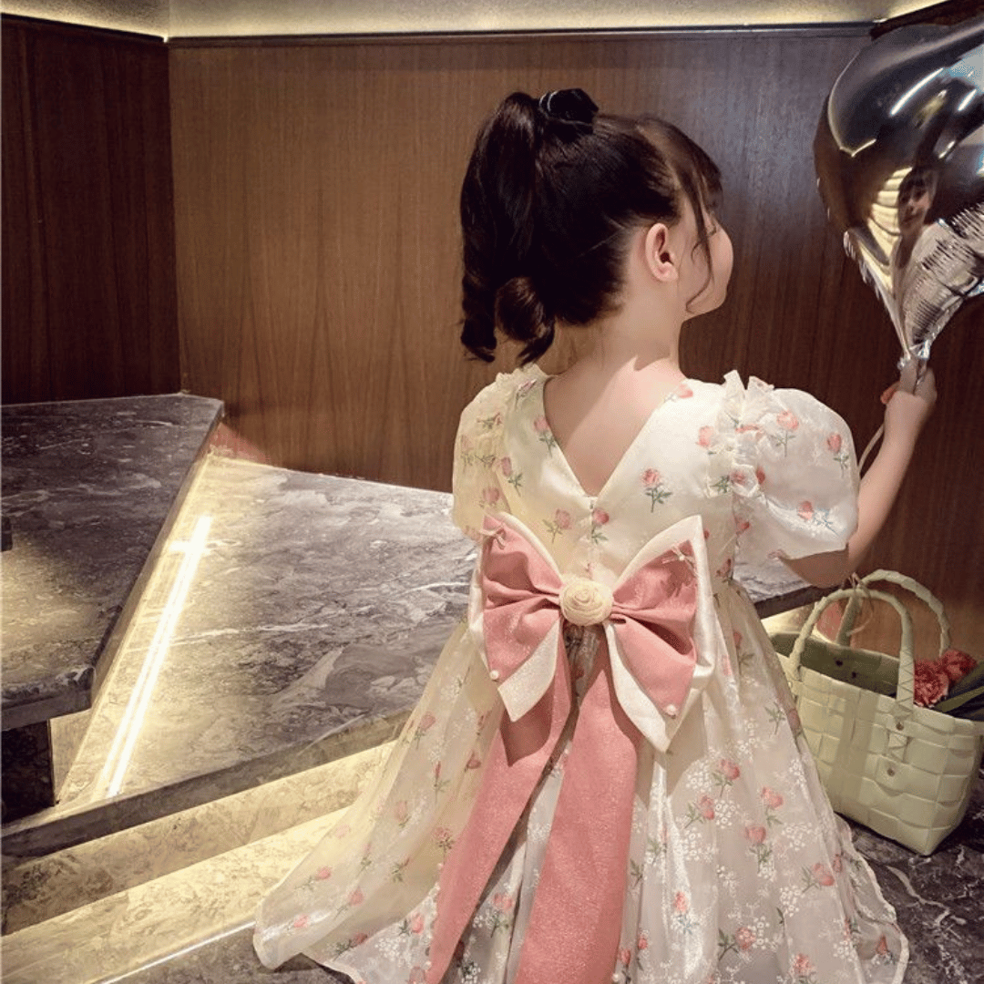 Vintage Rose Princess Dress