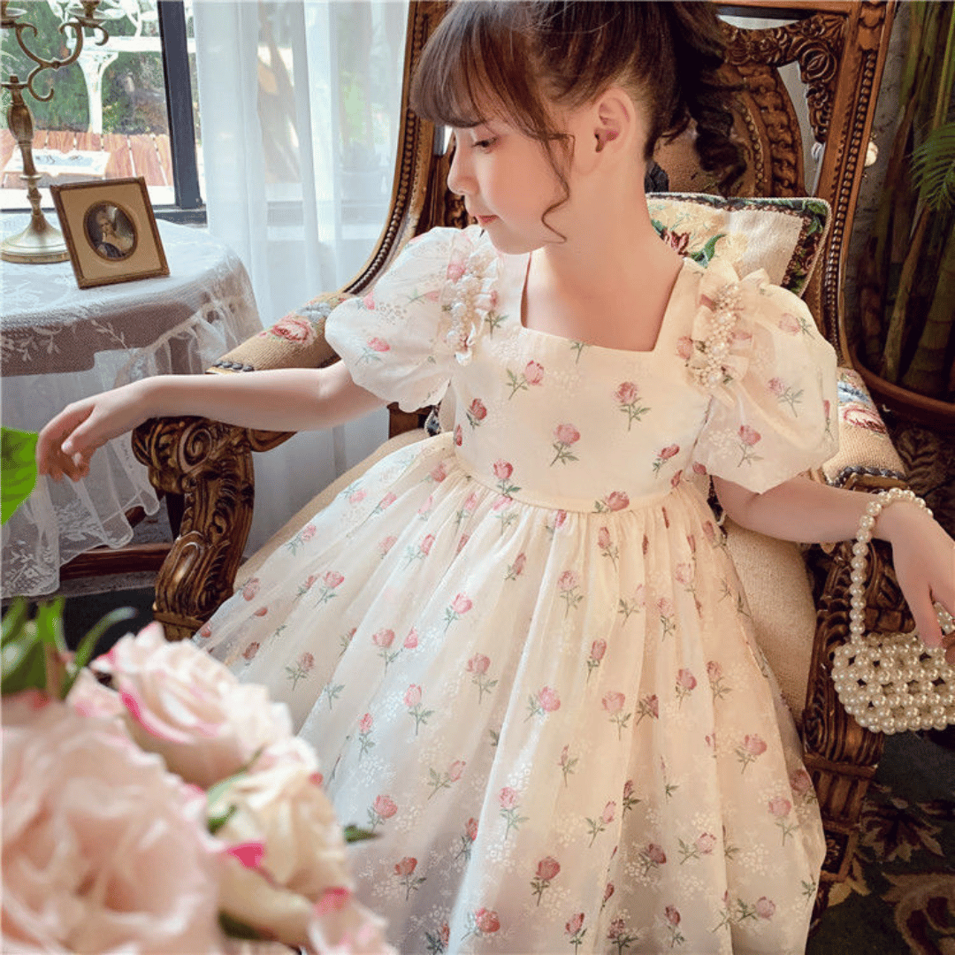 Vintage Rose Princess Dress