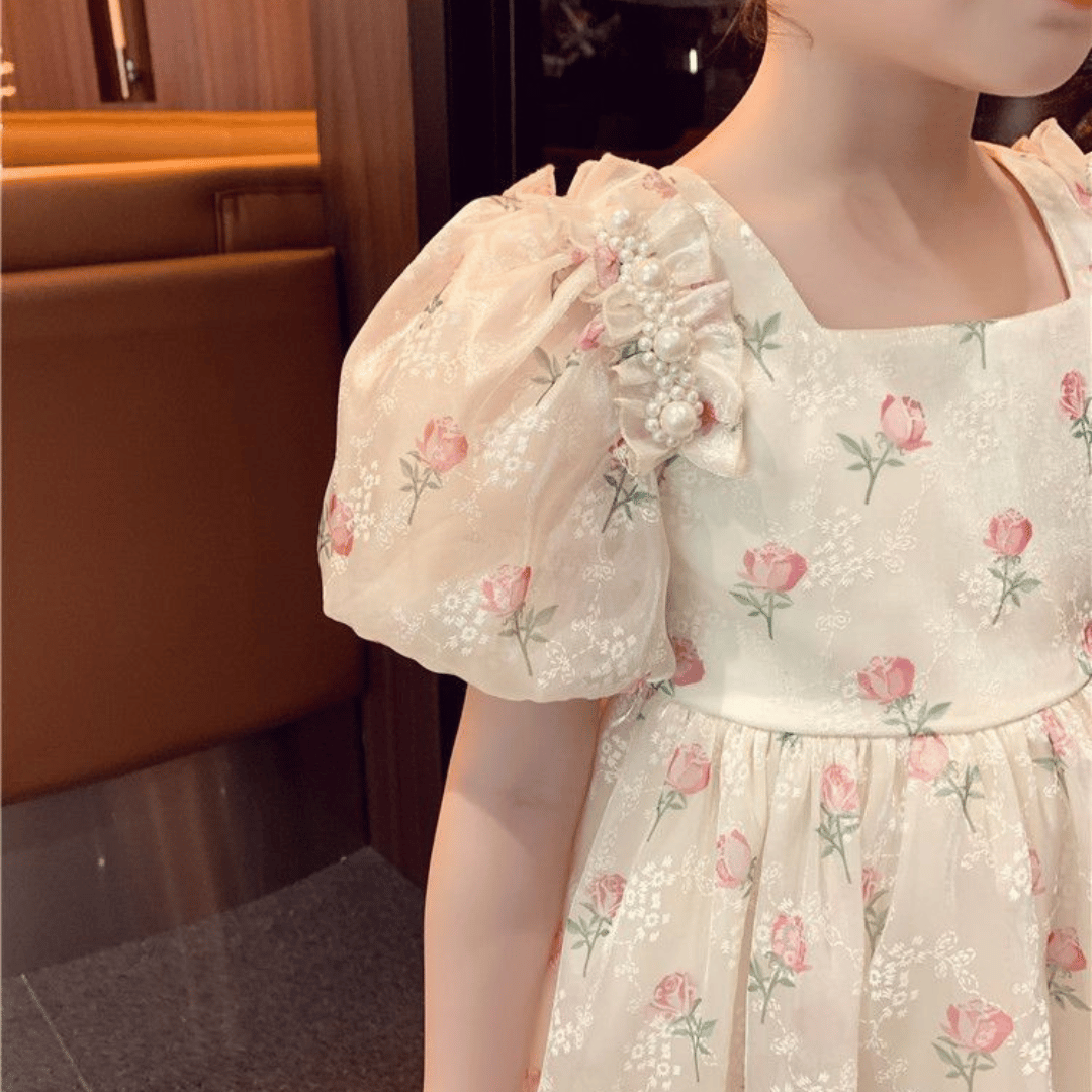 Vintage Rose Princess Dress