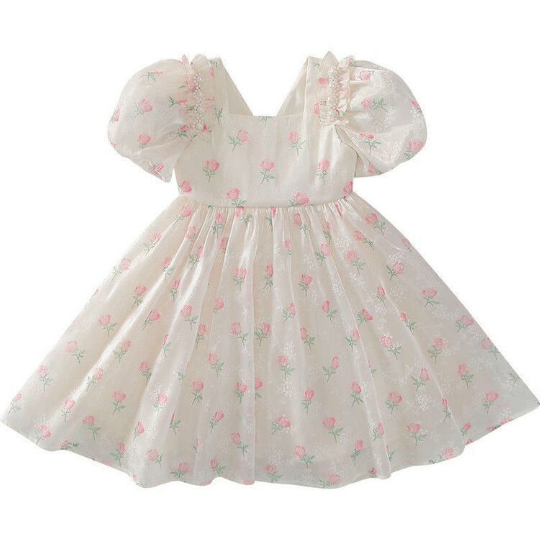 Vintage Rose Princess Dress