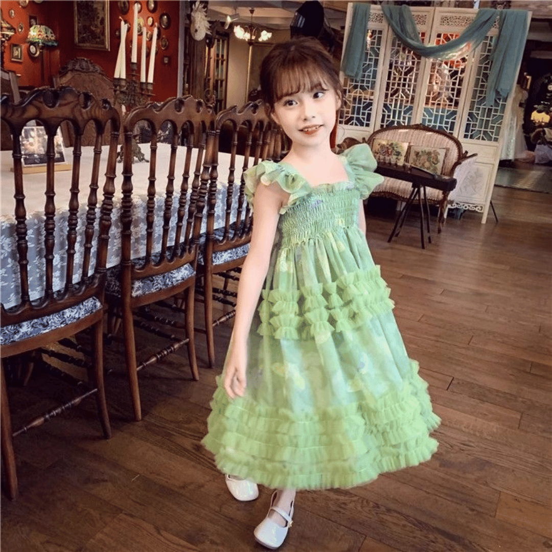Butterfly Fairy Princess Party Dress