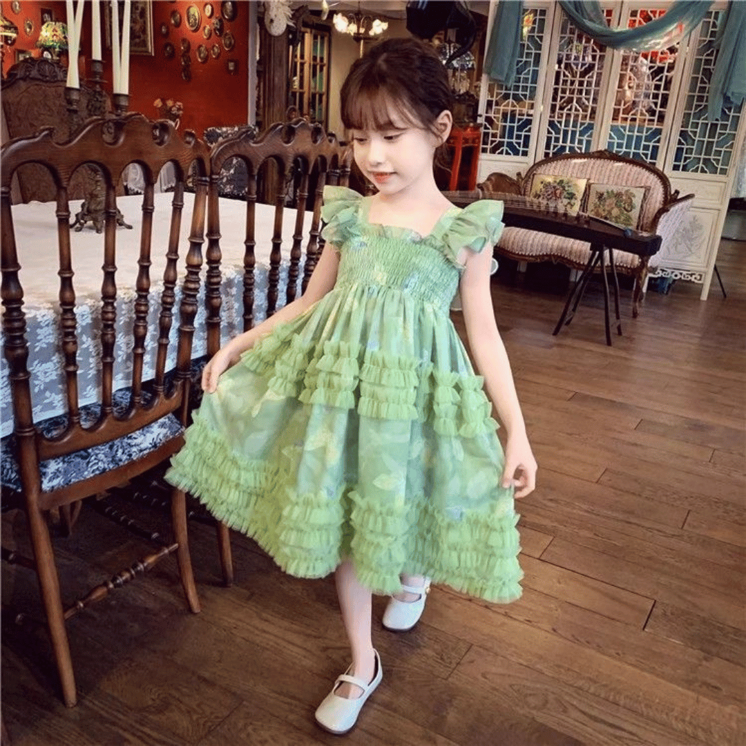 Butterfly Fairy Princess Party Dress