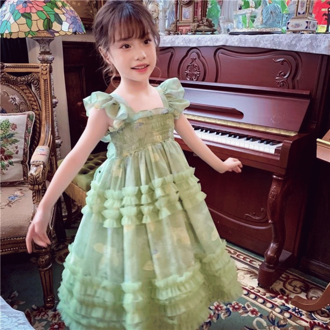 Butterfly Fairy Princess Party Dress