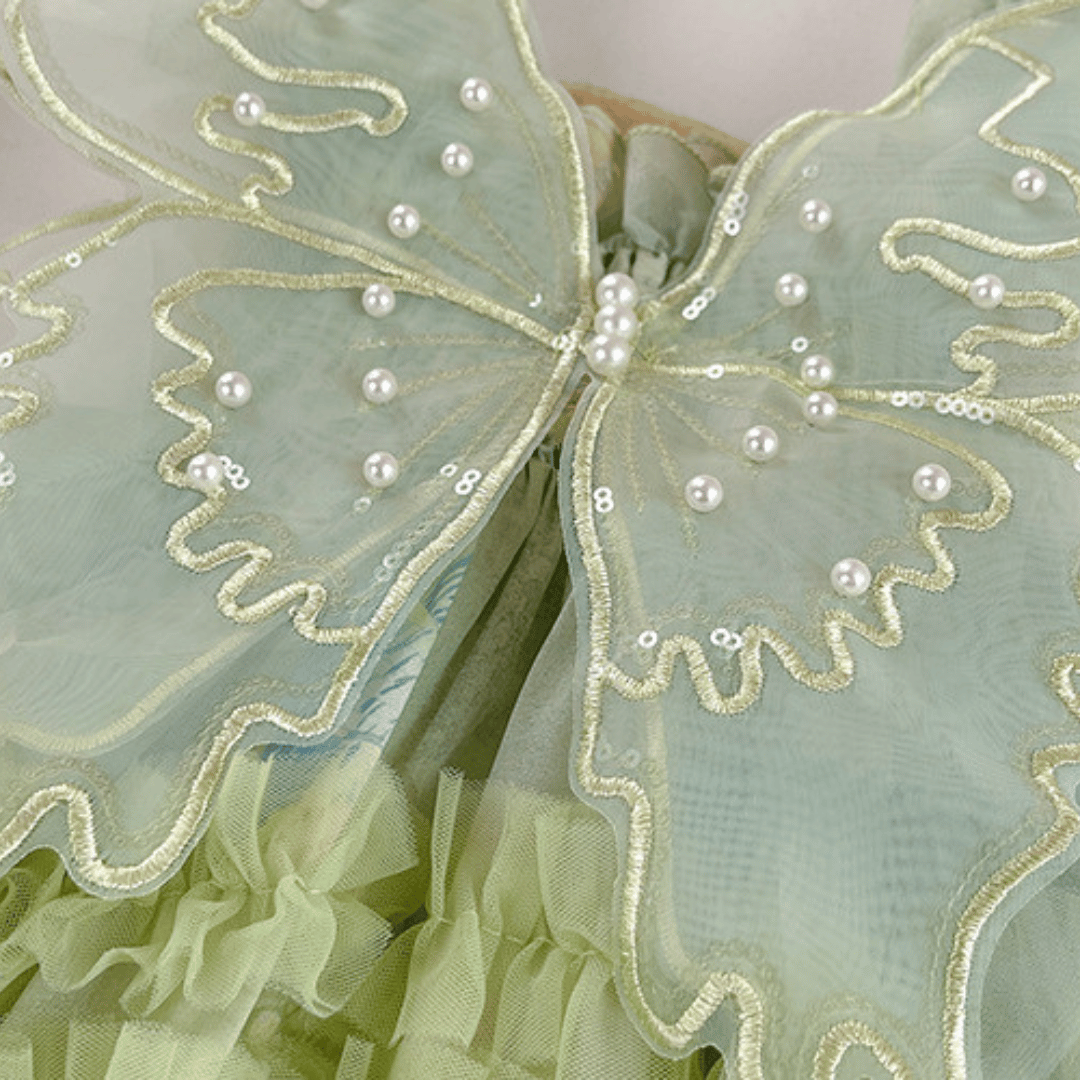 Butterfly Fairy Princess Party Dress