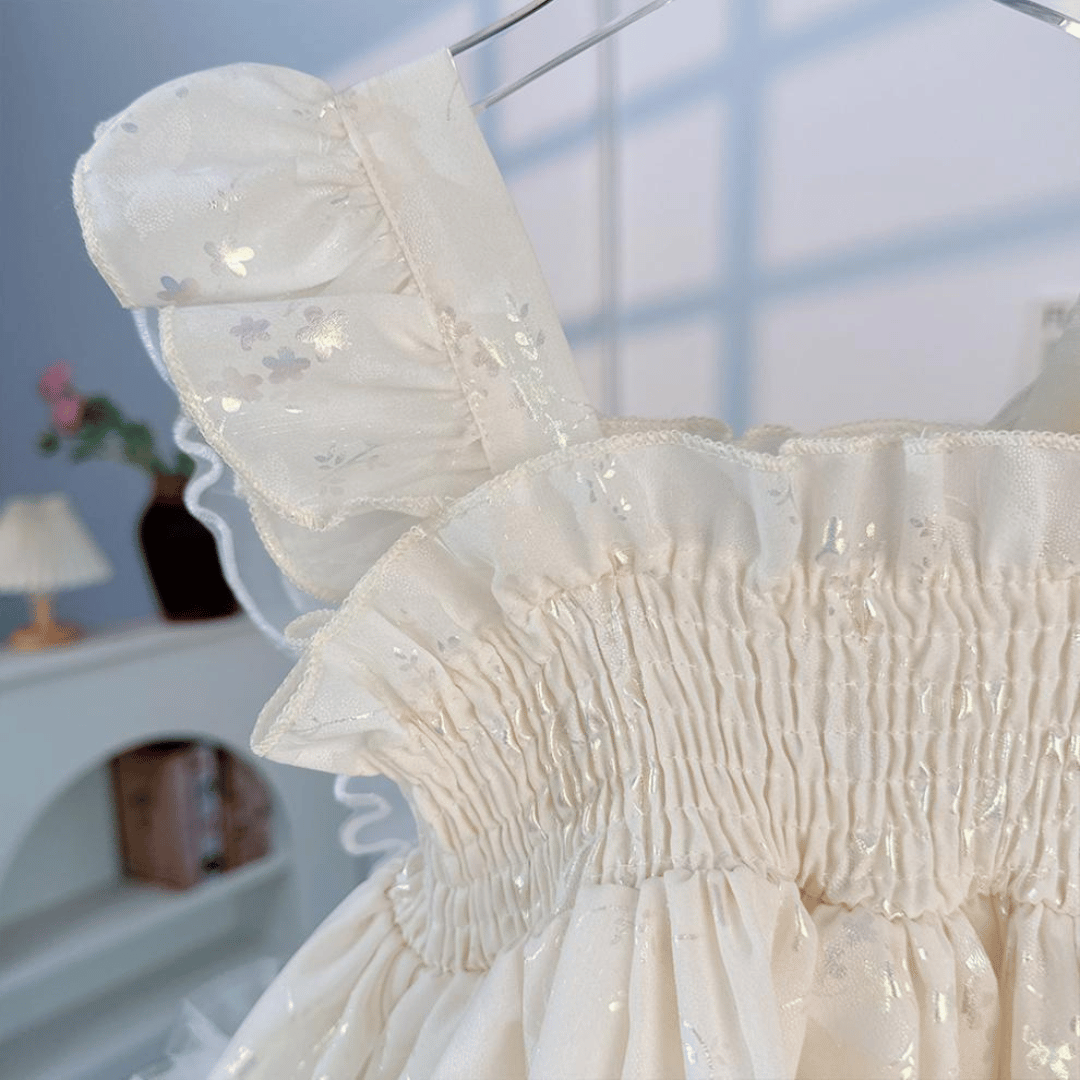 Butterfly Fairy Princess Party Dress