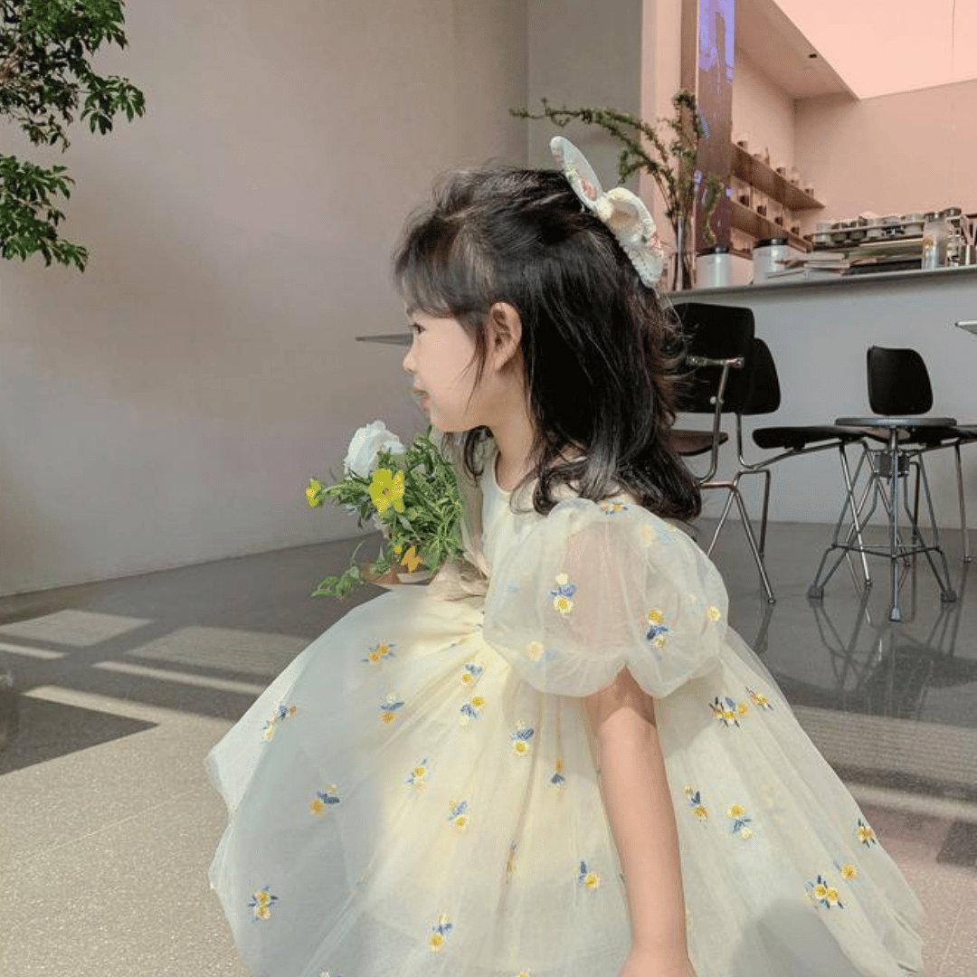 Daisy Embroidered Tulle Baby Princess Dress
